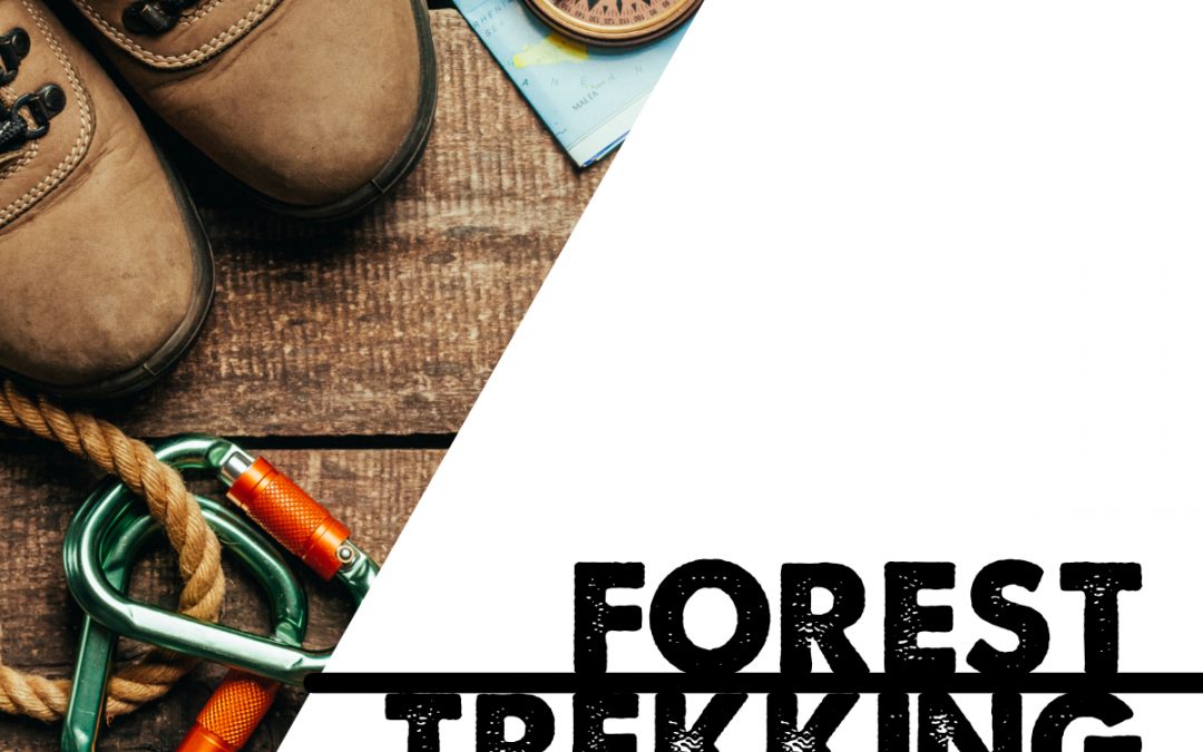 Forest Trekking  & Survival Awareness